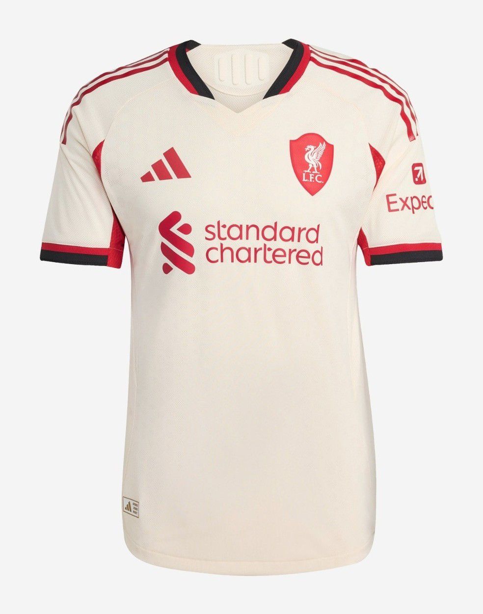 Liverpool FC 25/26 Away Kit
